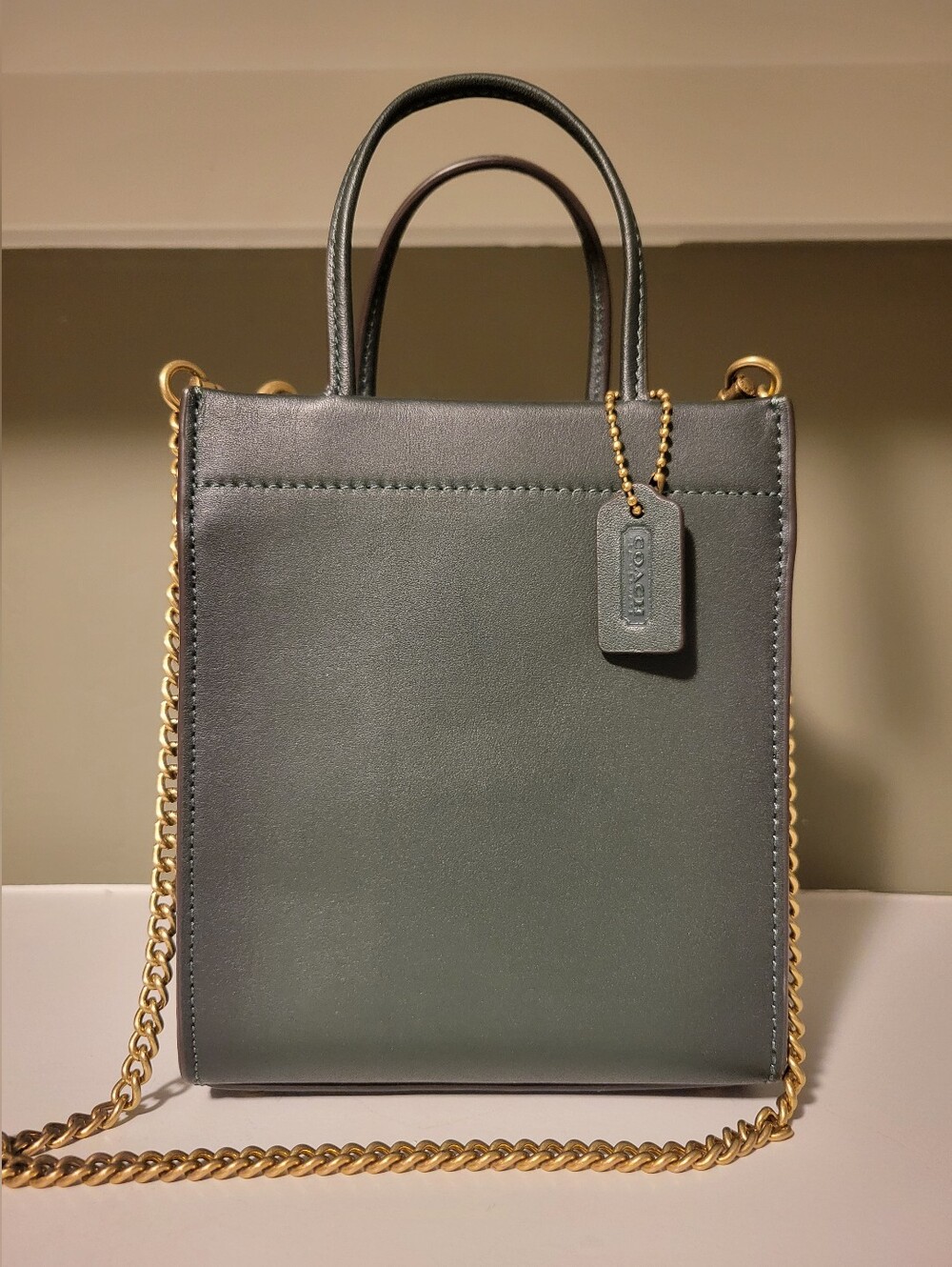 Coach Mini Cashin Tote C4828 Amazon Green NWT